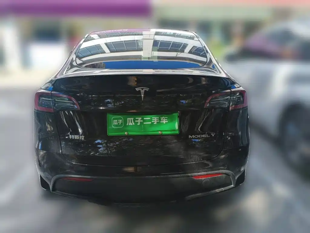 Tesla Model Y — миниатюра 5