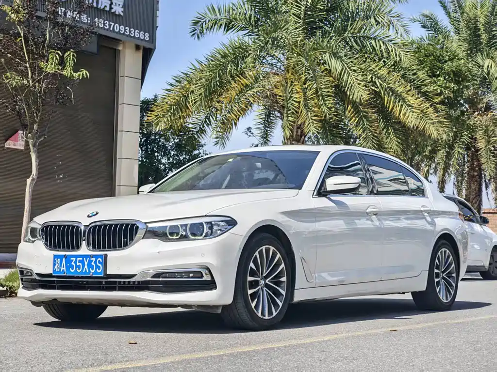 BMW 5 Series 5 2019 530Li Lead Luxury