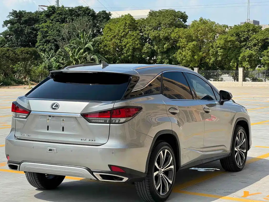Lexus RX - фото 8
