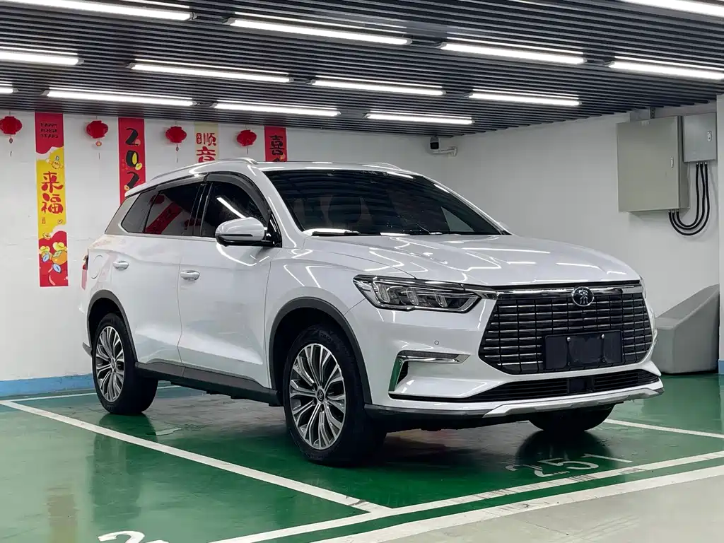 BYD Pro New Energy — миниатюра 3