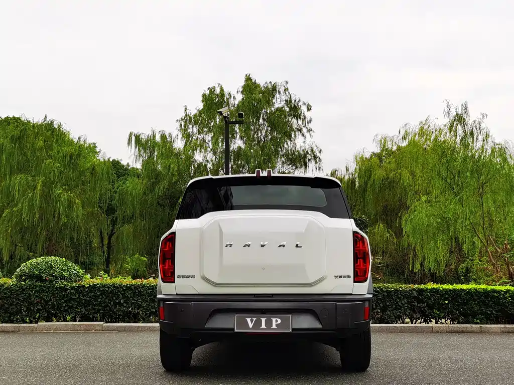 Haval Cool Dog — миниатюра 5