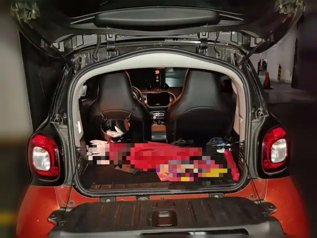 smart Smart Fortwo — миниатюра 15