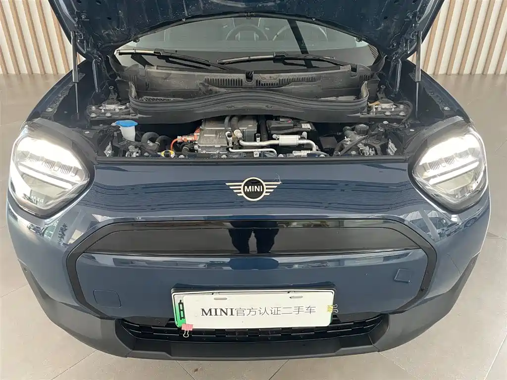 MINI MINI ACEMAN EV — миниатюра 6