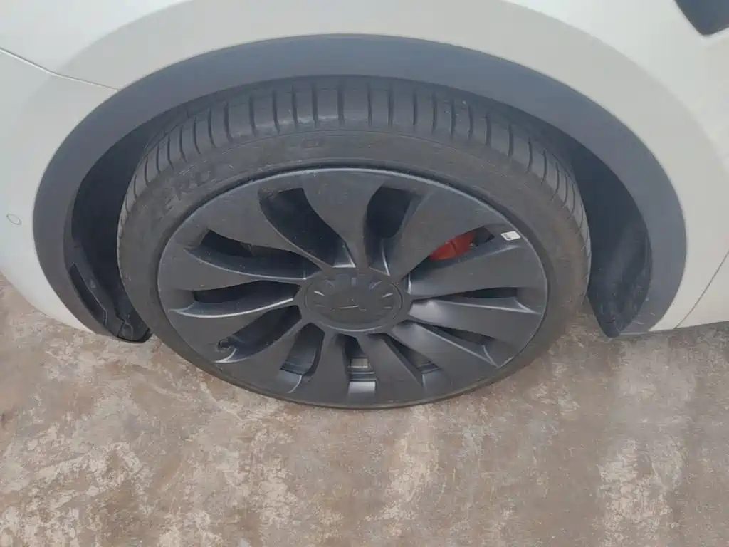 Tesla Model Y — миниатюра 23