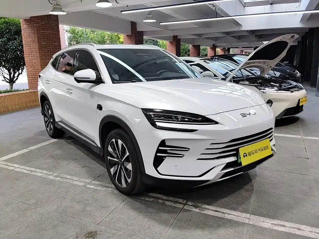 BYD PLUS New Energy — миниатюра 6