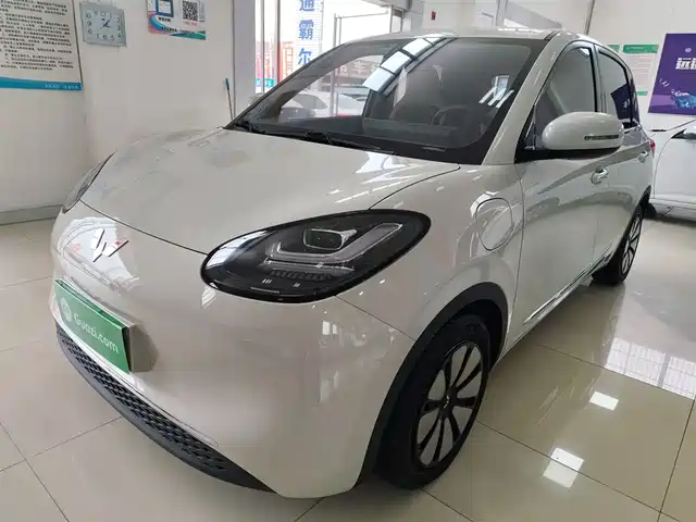 WULING AUTOMOBILE WULING BINGGUO 2023