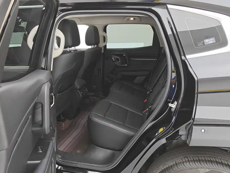 Haval Big Dog PLUS — миниатюра 11
