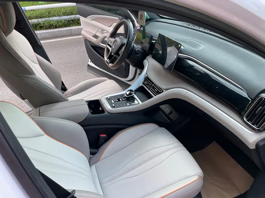 BYD Pro New Energy — миниатюра 14