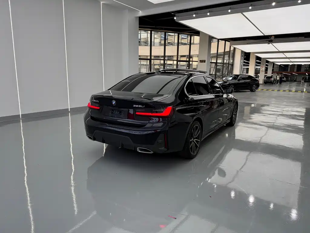 BMW 3 Series — миниатюра 15