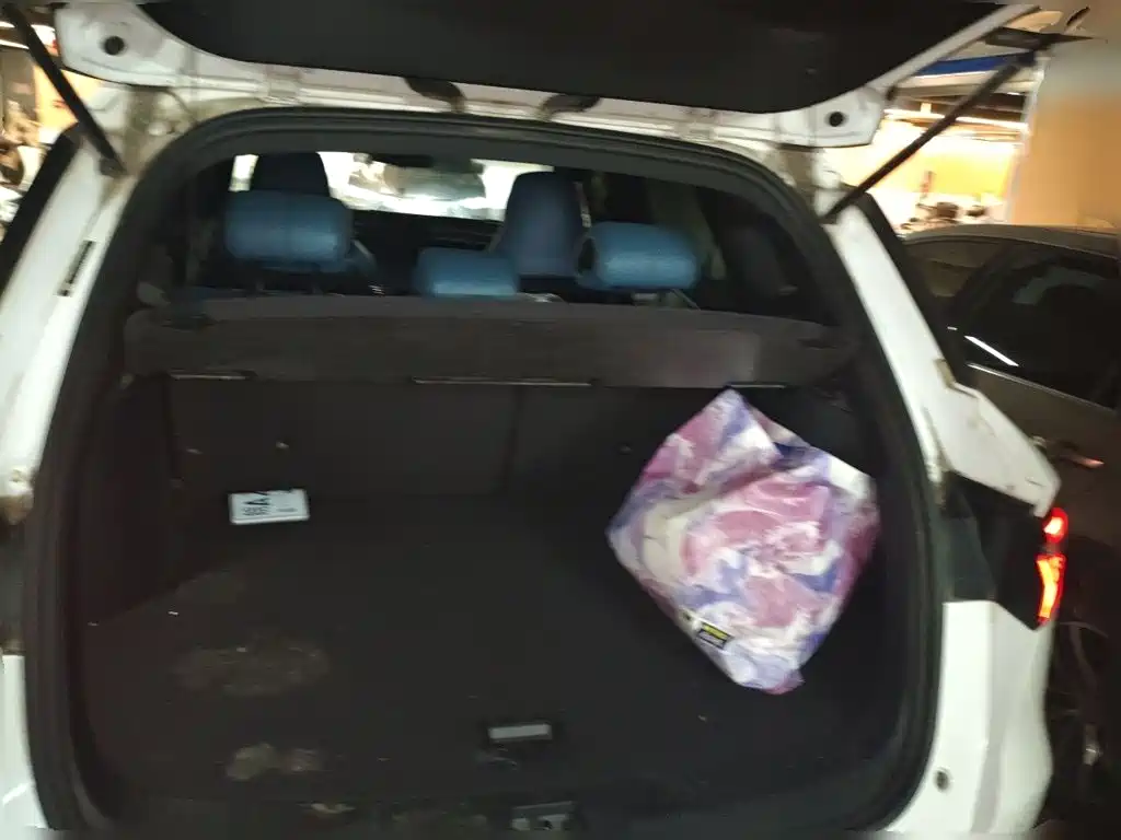 BYD Pro — миниатюра 10