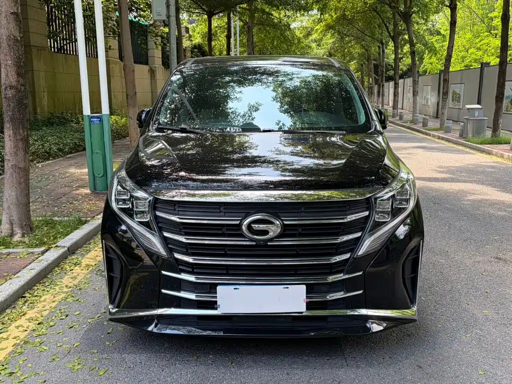 GAC Motor Trumpchi M8 — миниатюра 2