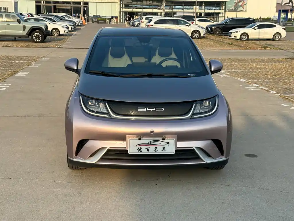 BYD Dolphin — миниатюра 2