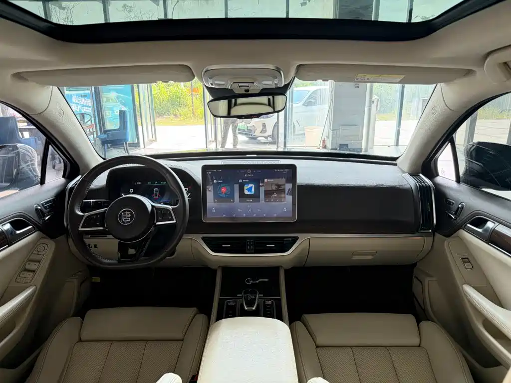 BYD Tang New Energy — миниатюра 19