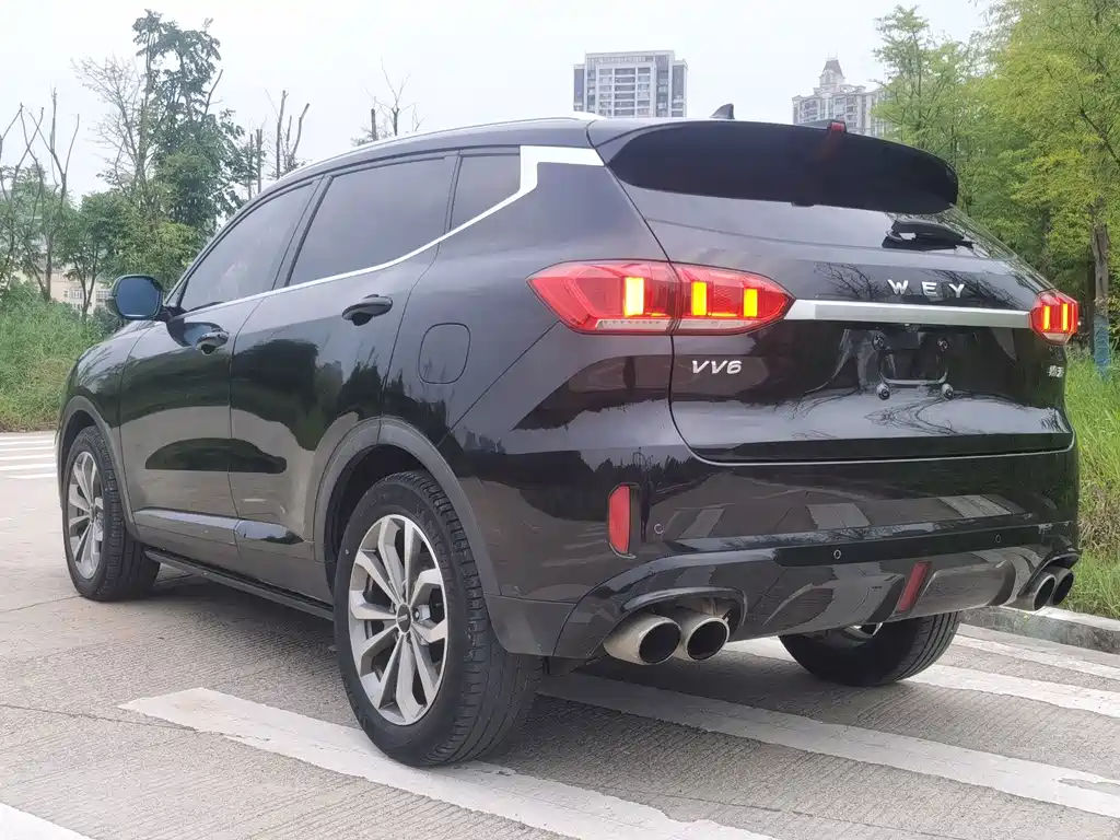 Wey Wey VV6 — миниатюра 5