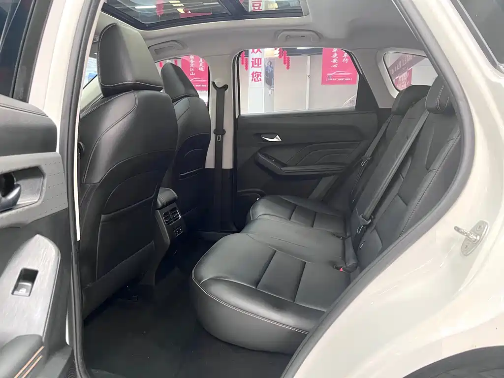 Haval Chitu — миниатюра 11