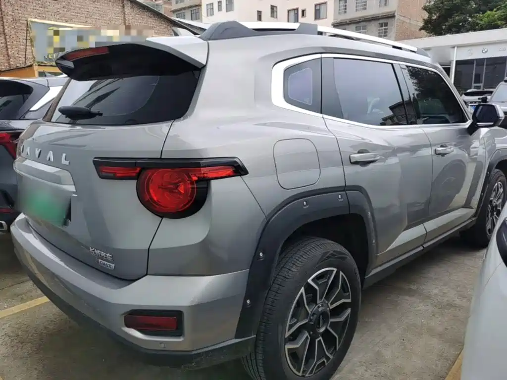 Haval Плюс новая энергия. — миниатюра 7