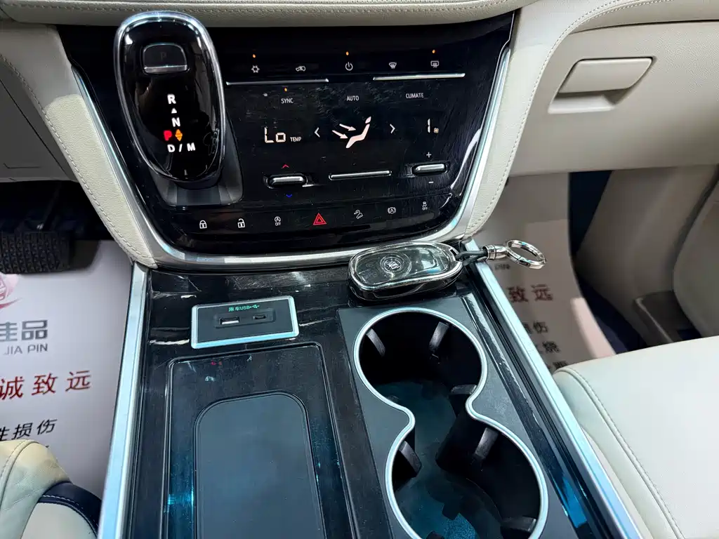 Buick GL8 — миниатюра 14