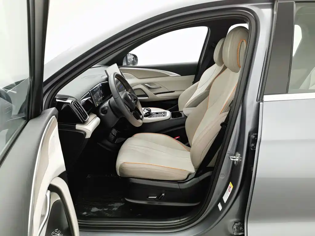 BYD Pro New Energy — миниатюра 10
