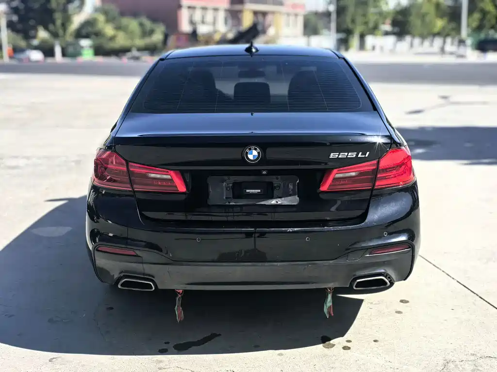 BMW 5 Series — миниатюра 4