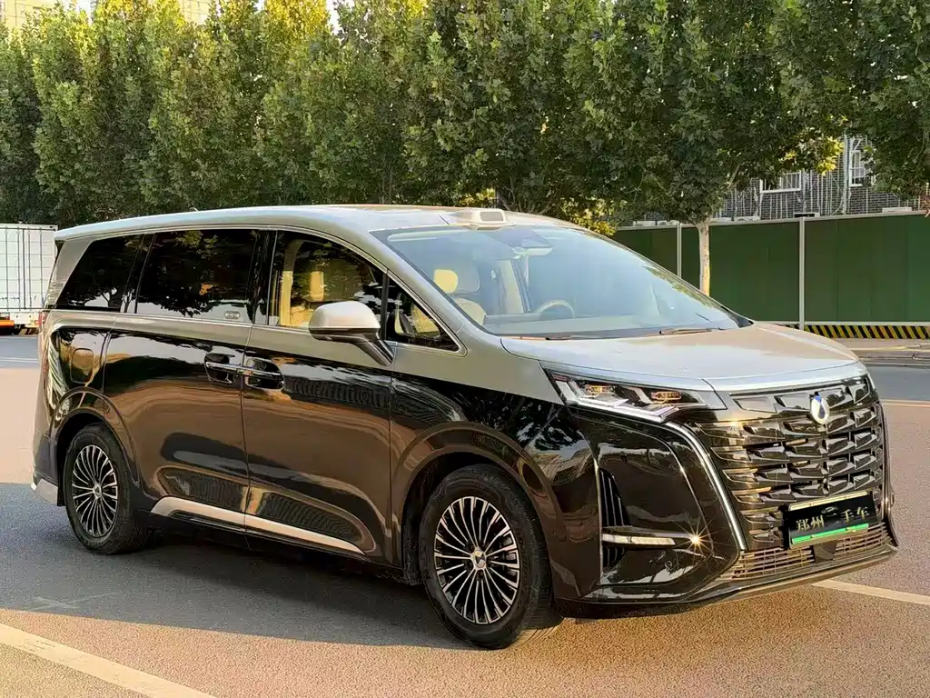 Denza Denza D9 — миниатюра 3