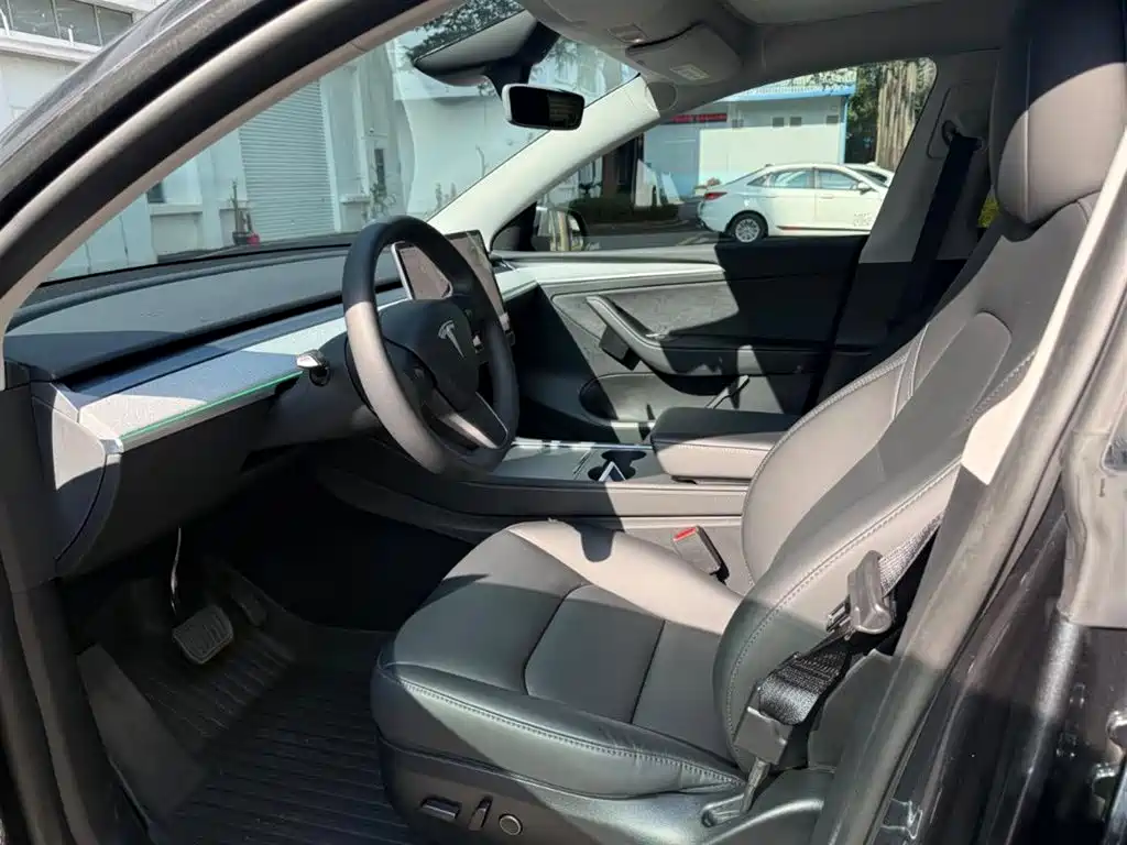 Tesla Model Y — миниатюра 4