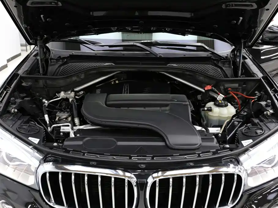 BMW X5 (Import) — миниатюра 21