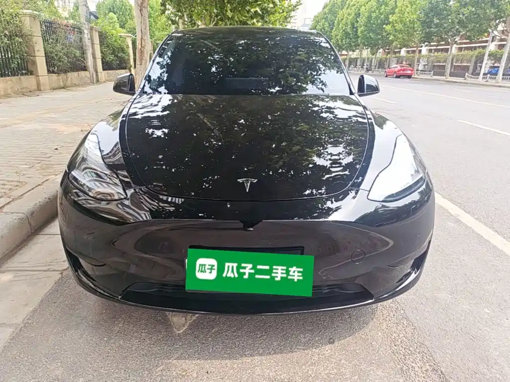 Tesla Model Y — миниатюра 3