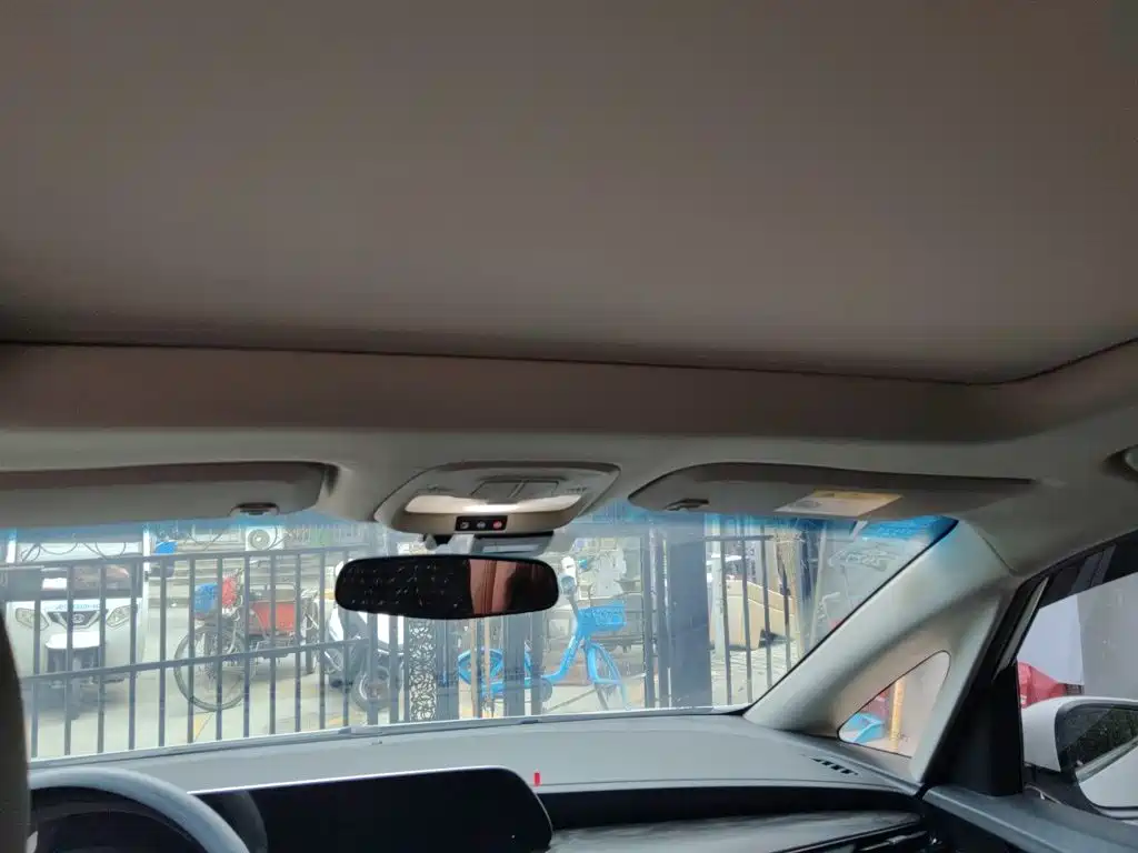 Buick GL6 — миниатюра 19