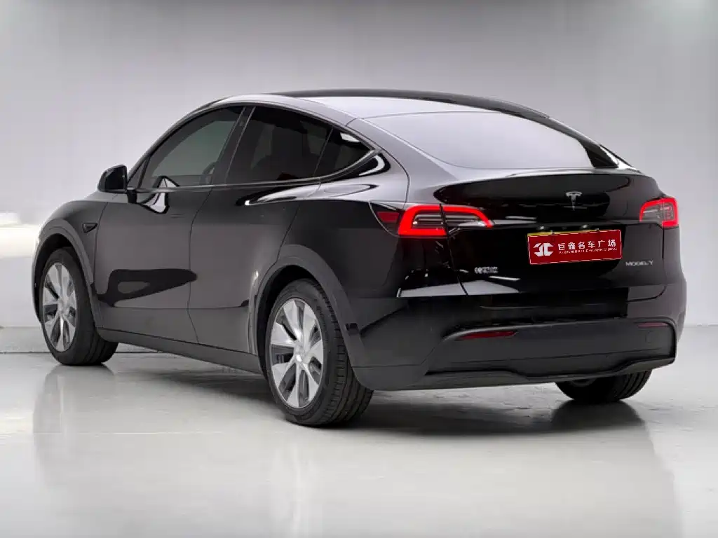 Tesla Model Y — миниатюра 2
