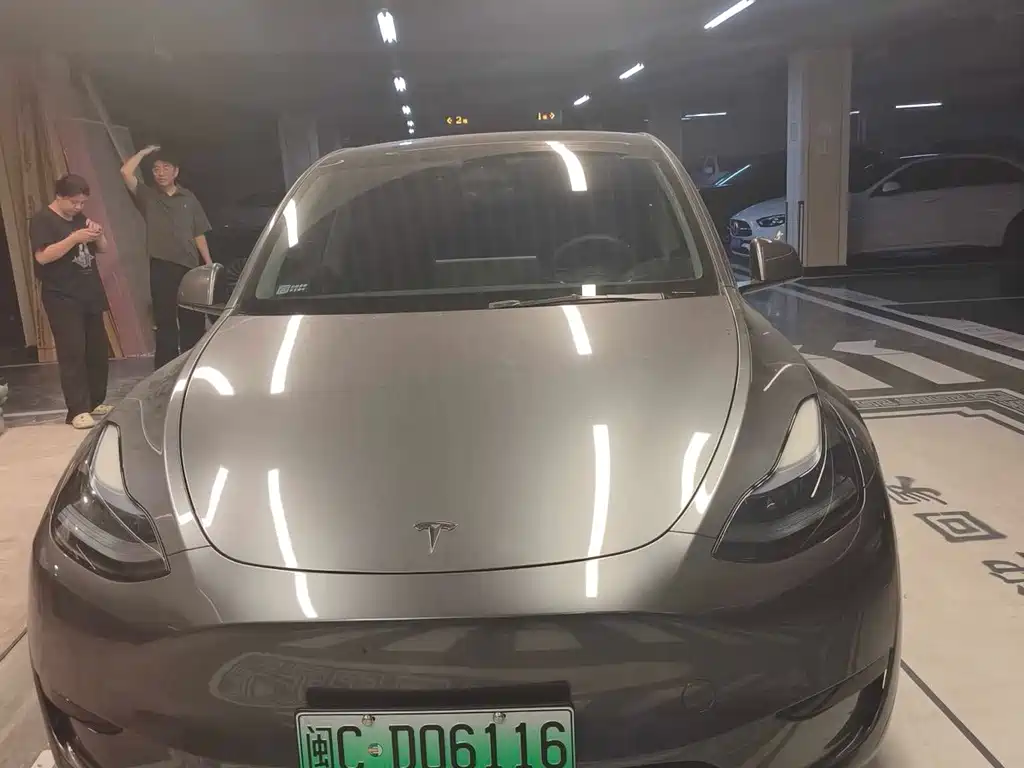 Tesla Model Y — миниатюра 2