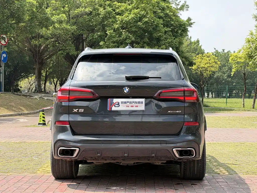 BMW X5 (Import) — миниатюра 5
