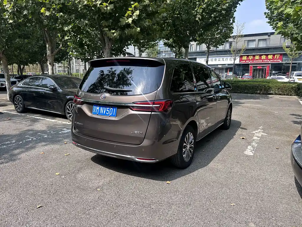 Buick GL8 — миниатюра 3