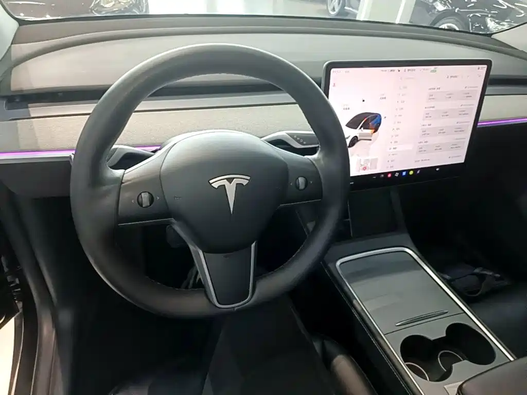 Tesla Model Y — миниатюра 10