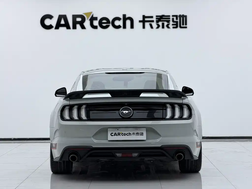 Ford Mustang — миниатюра 13