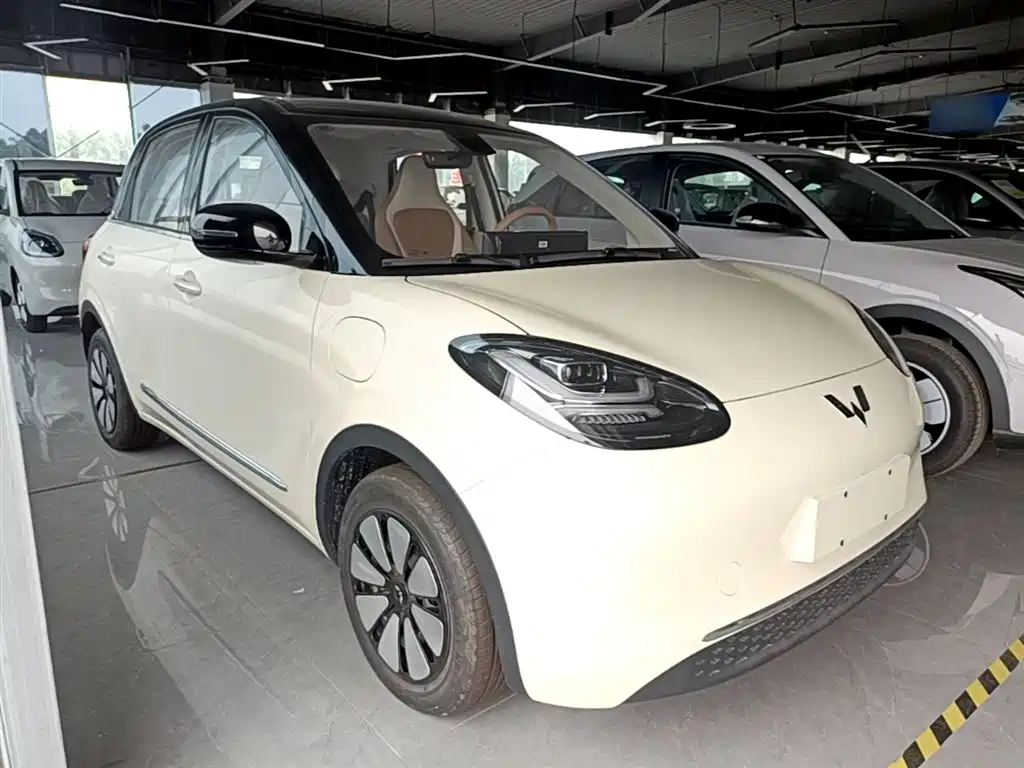 Wuling Binguo 2025 333km
