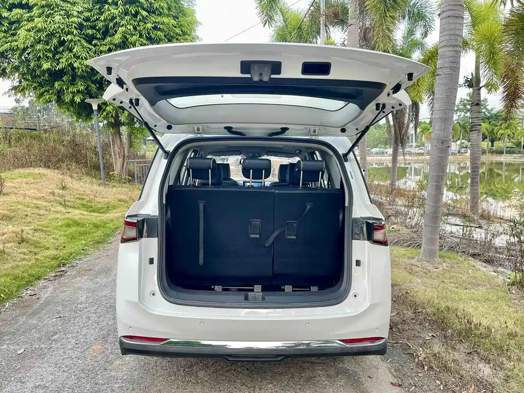 Wuling Jiachen — миниатюра 8