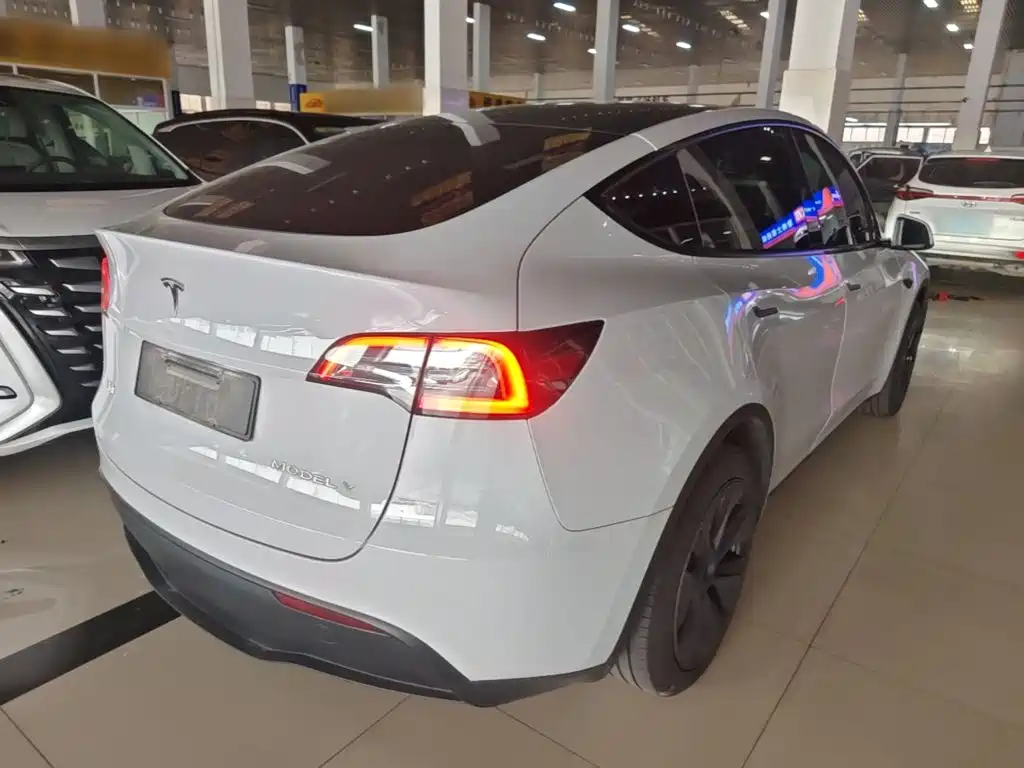 Tesla Model Y — миниатюра 7
