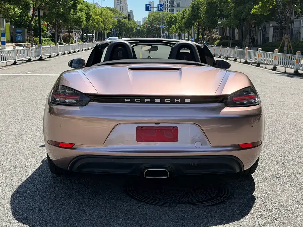 Porsche 718 — миниатюра 11