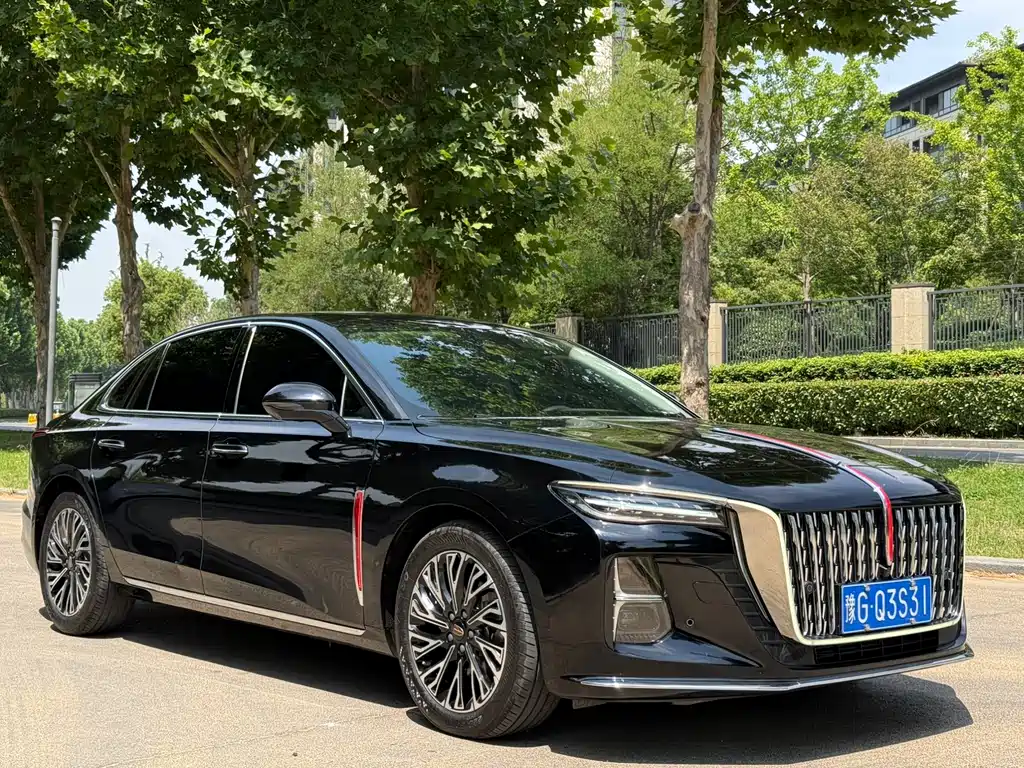 Hongqi H5 2024 2.0T AT