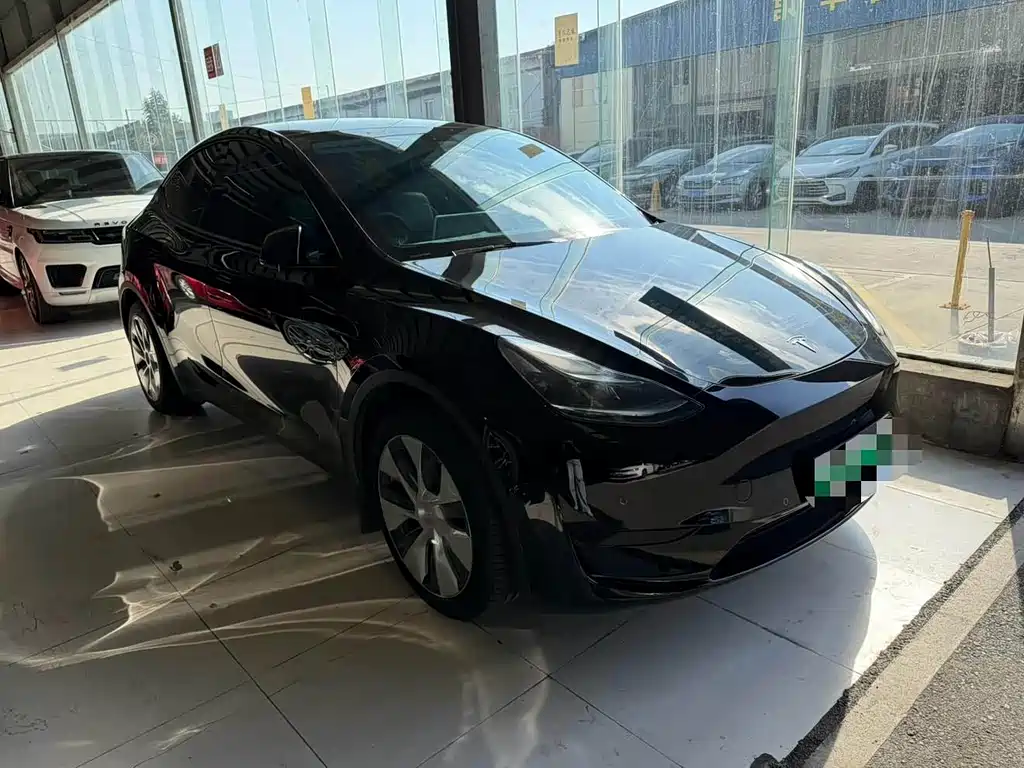 Tesla Model Y — миниатюра 3