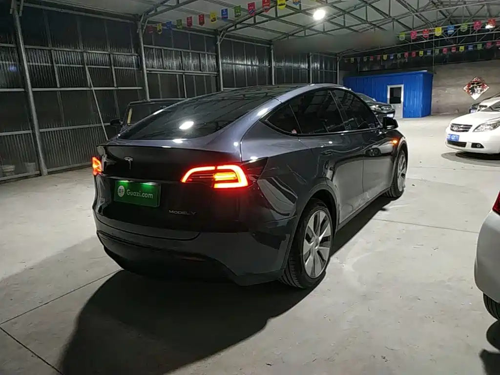 Tesla Model Y — миниатюра 7