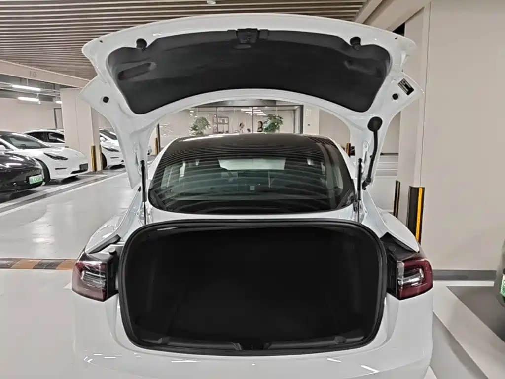 Tesla Model 3 — миниатюра 19