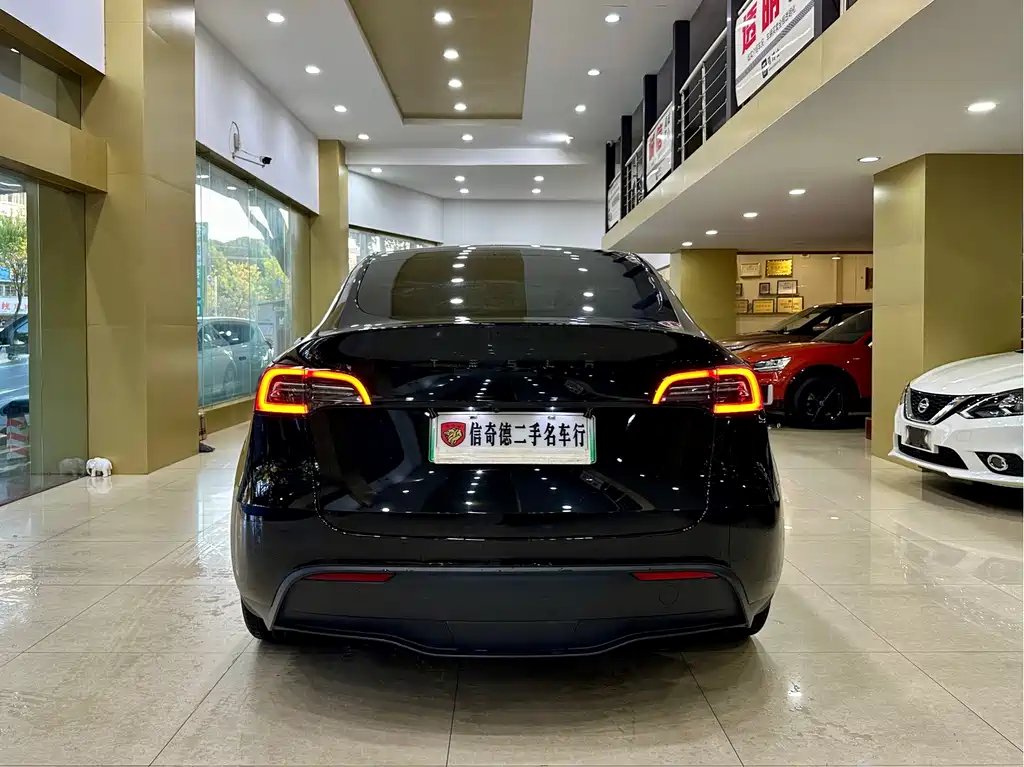 Tesla Model Y — миниатюра 5