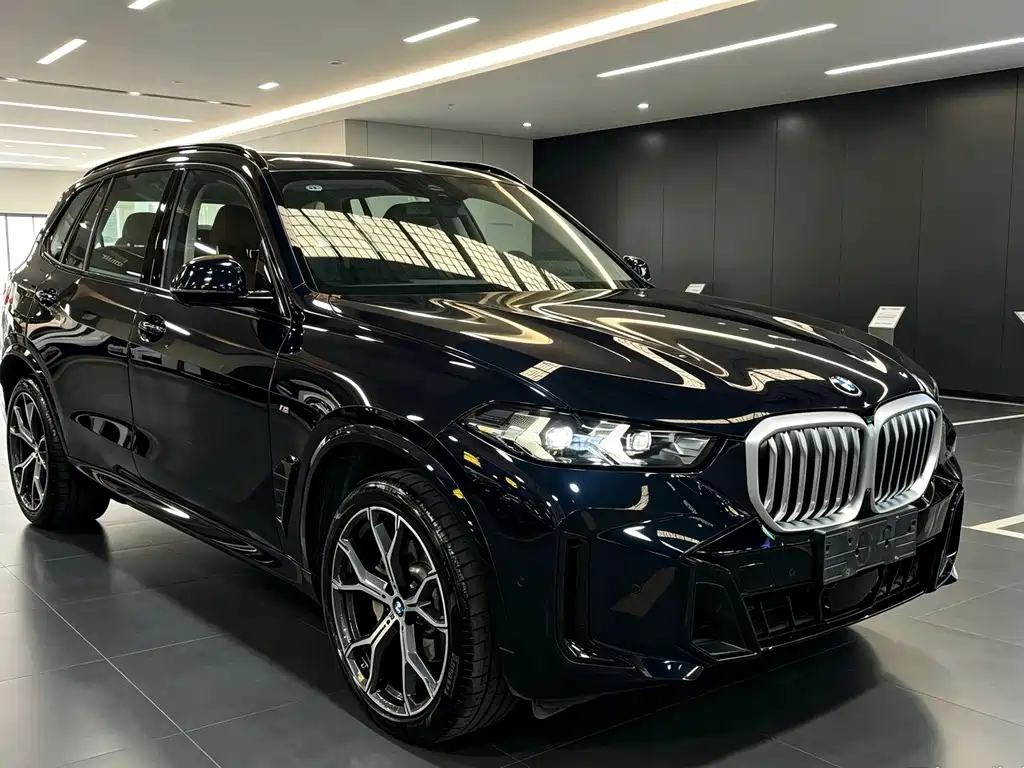 BMW X5 — миниатюра 3