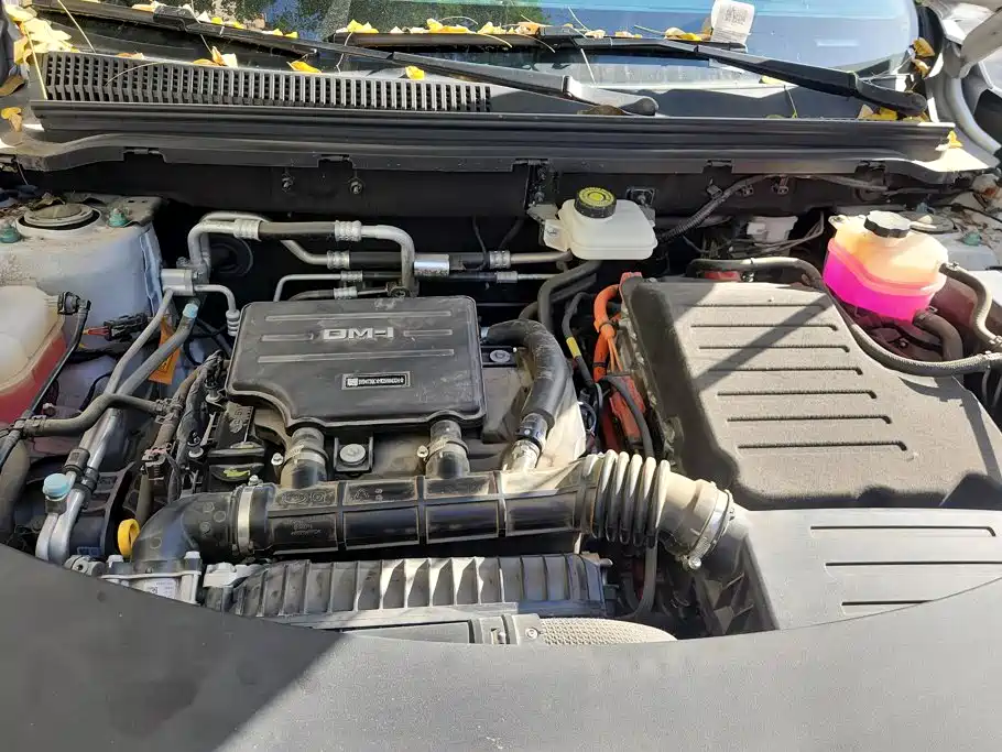 BYD Pro New Energy — миниатюра 10