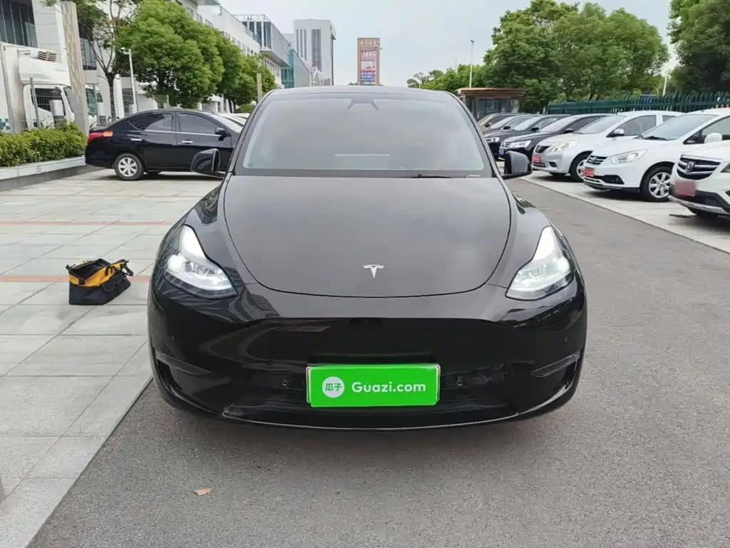 Tesla Model Y — миниатюра 3