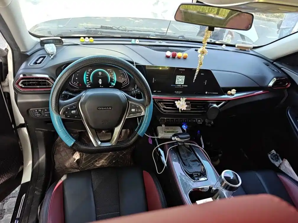 Oshan Oushang X5 — миниатюра 12