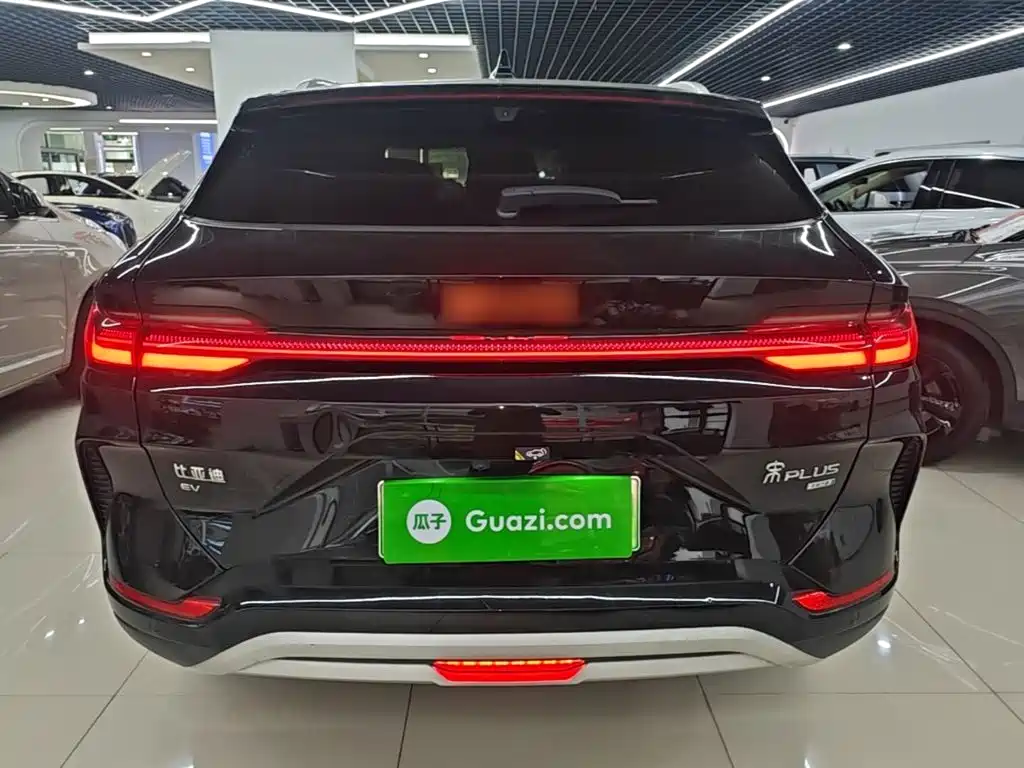 BYD PLUS New Energy — миниатюра 6