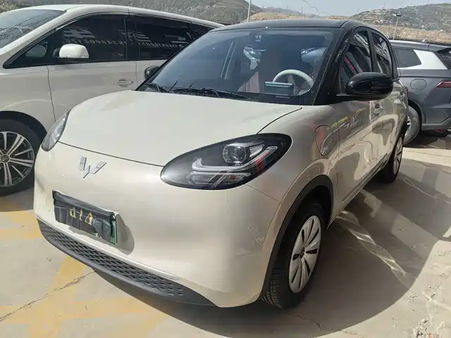 2026 Wuling Motors Binguo