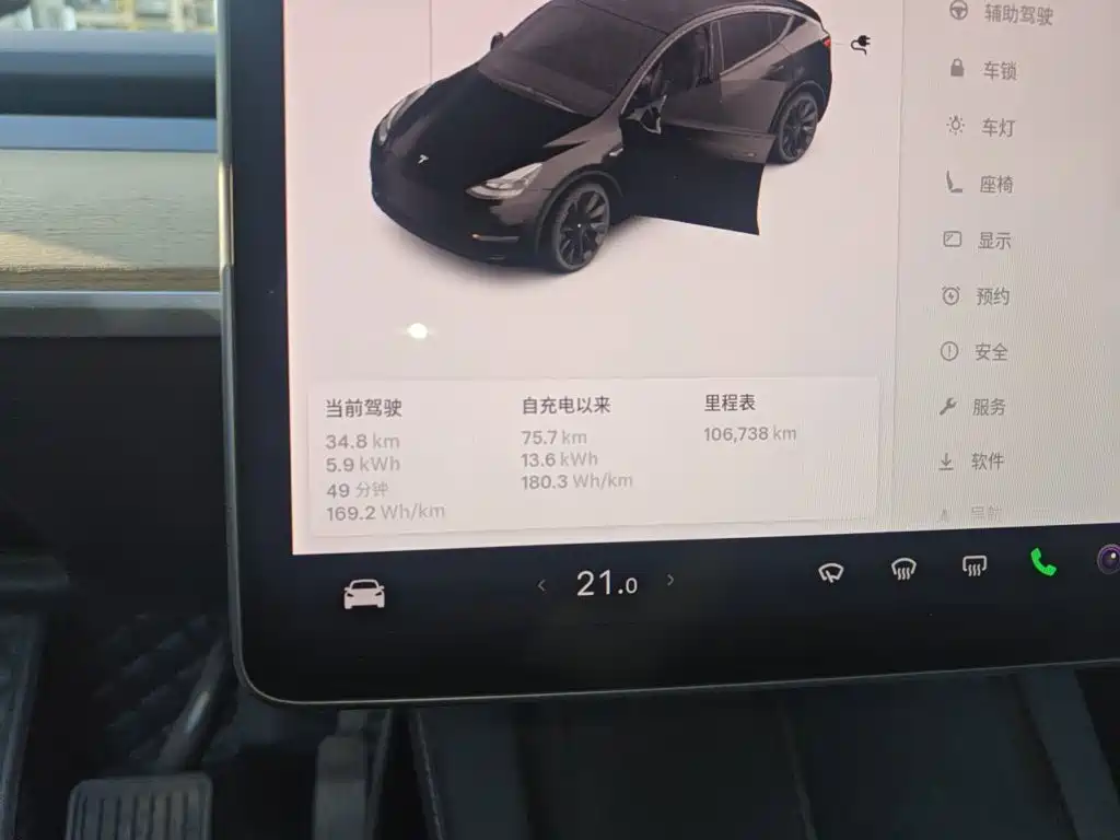 Tesla Model Y — миниатюра 5